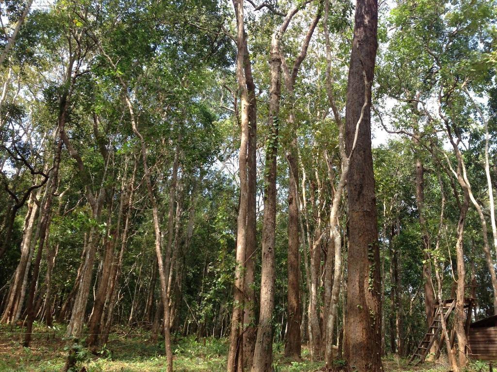 סן מונורום Mondulkiri Hotel מראה חיצוני תמונה